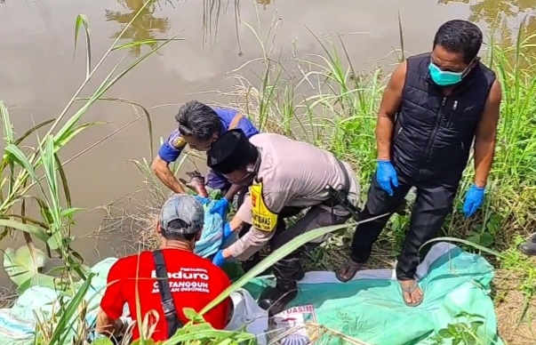 Pria 68 Tahun Ditemukan Tewas Mengapung di Sawah Banyuasin, Sempat Hilang Beberapa Hari
