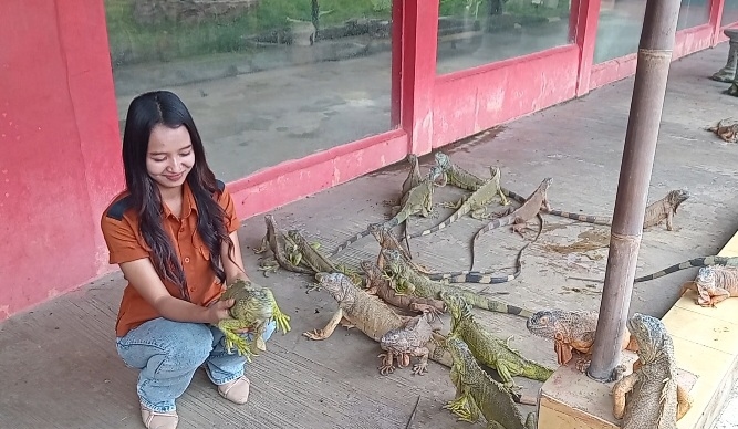 Libur Lebaran 2026, Palembang Bird Park Jadi Favorit Wisata Keluarga