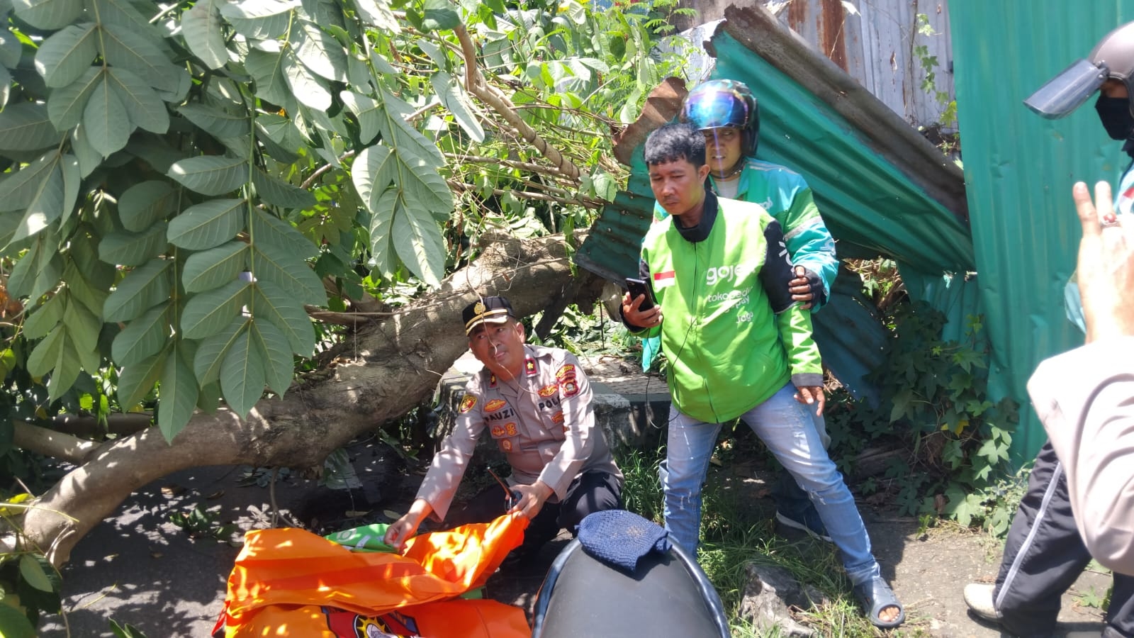 Pohon Tumbang Timpa Ojol di Palembang, Korban Meninggal Dunia di Lokasi