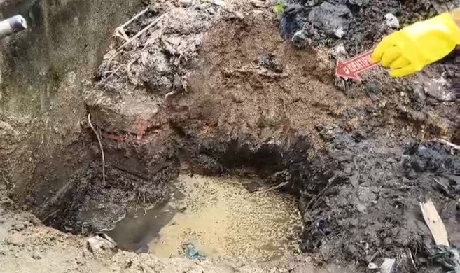 Sempat Dikira Kerangka Bayi, Temuan di SU II Palembang Ternyata Tulang Hewan