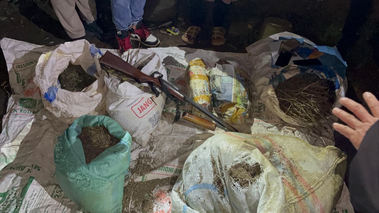 Polisi Sita 220 Kg Ganja dan Ribuan Bibit Siap Tanam dari Tangan Bandar di Sumsel