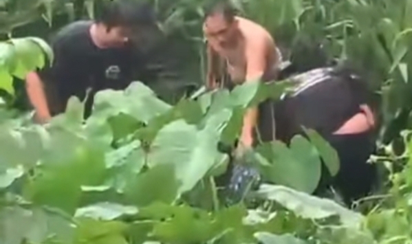 Kabur dan Sembunyi di Semak-Semak, Pelaku Curanmor di Palembang Akhirnya Diringkus Polisi