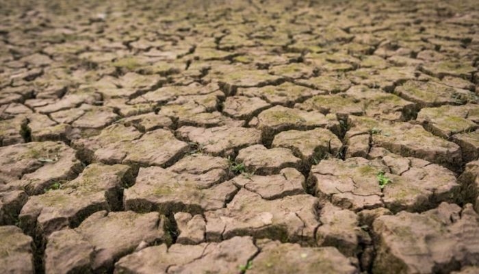 El Nino Menguat, BMKG: Kemarau di Sumsel Diperkirakan Berlangsung hingga Pertengahan Oktober