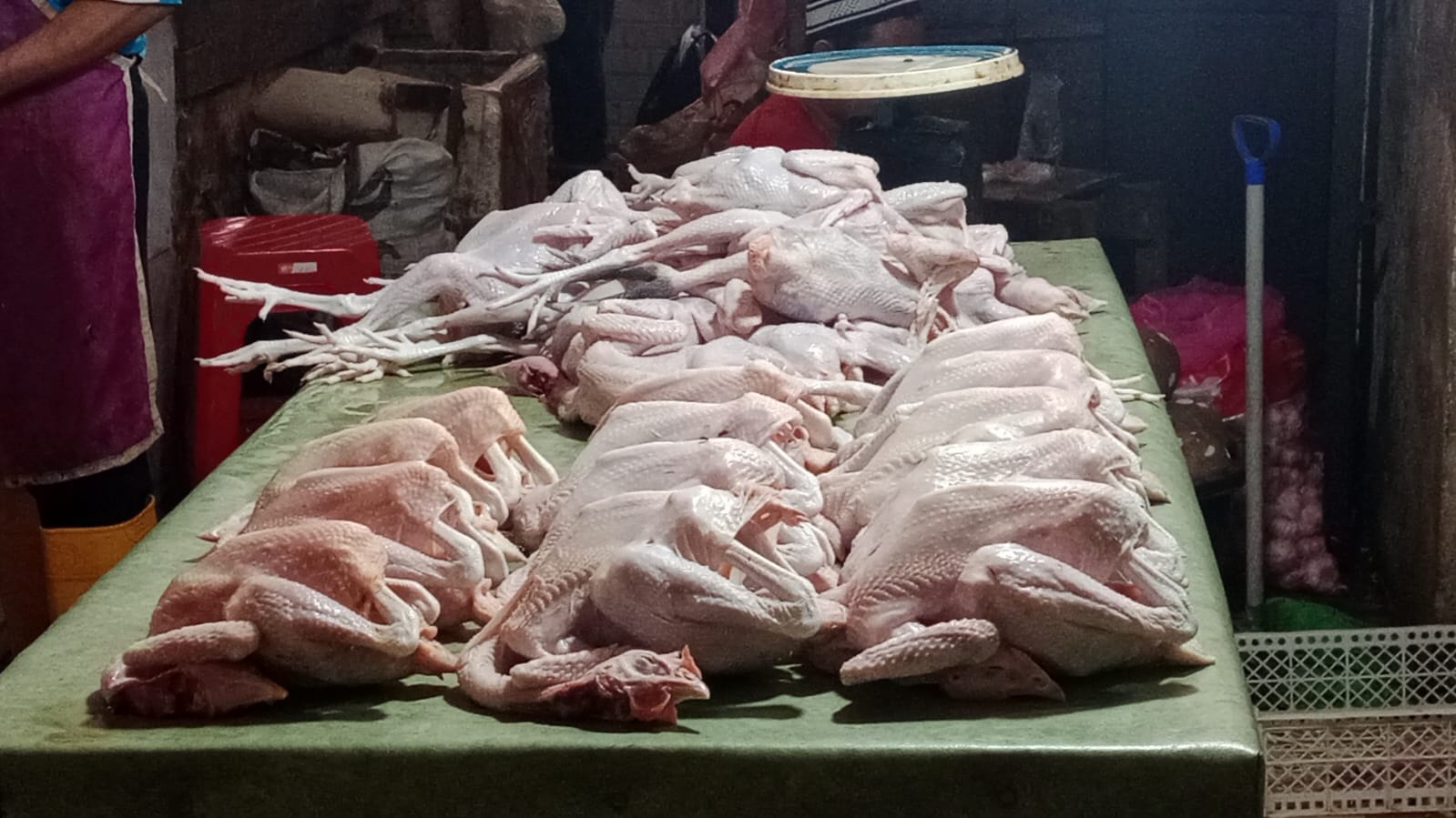 Harga Daging Ayam Naik Jadi Rp40 Ribu per Kg, Program MBG Disebut Dongkrak Permintaan