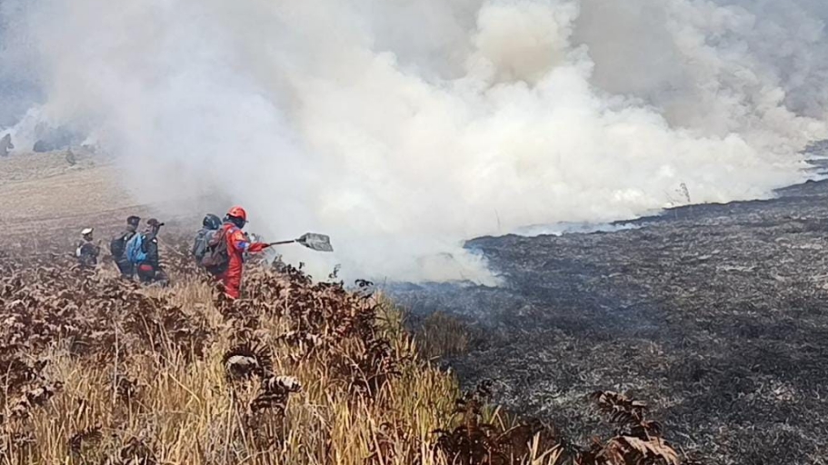 Waspada Asap Karhutla, BPBD Sumsel Bakal Rekomendasikan Sekolah Diliburkan
