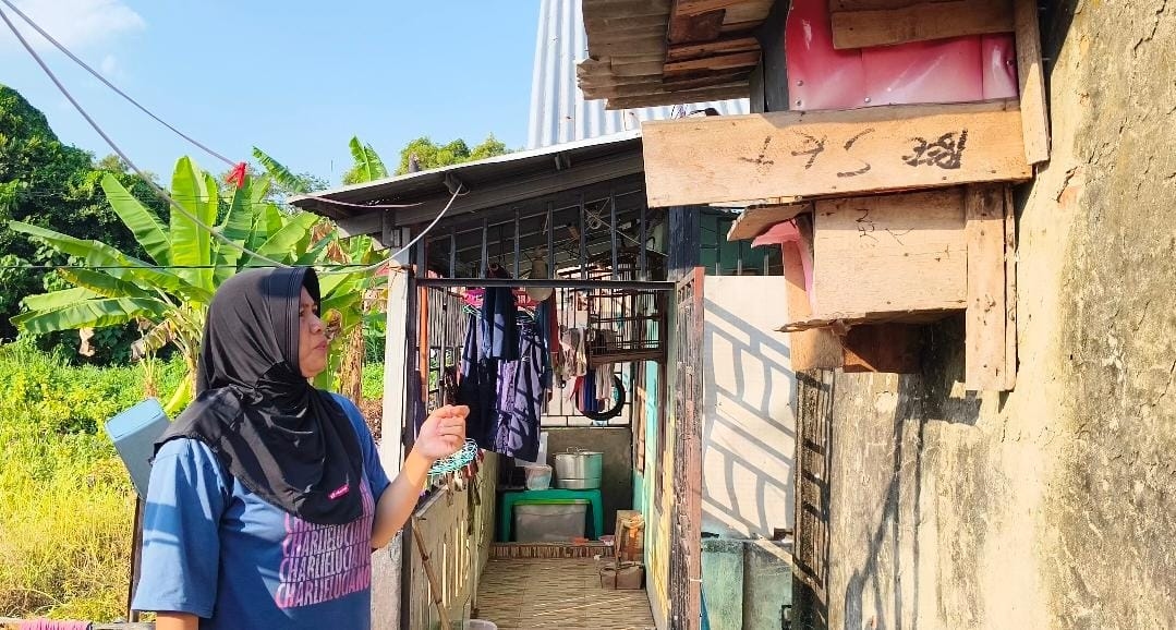 Terekam CCTV, Pria Bertopi Curi 5 Burung Dara di Rumah Warga Palembang