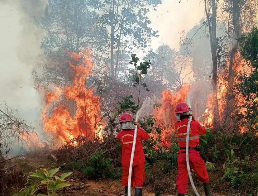 Karhutla Sumsel Berulang, WALHI Minta Aparat Usut Korporasi di Balik Kebakaran