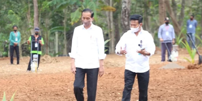 Jokowi Tunjuk Kepala Bapanas Sebagai Plt Mentan 