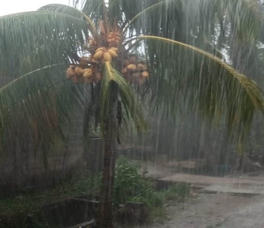 BMKG Sebut Sumsel Berpotensi Hujan Ringan Sepanjang Hari Kamis 14 Agustus 2025