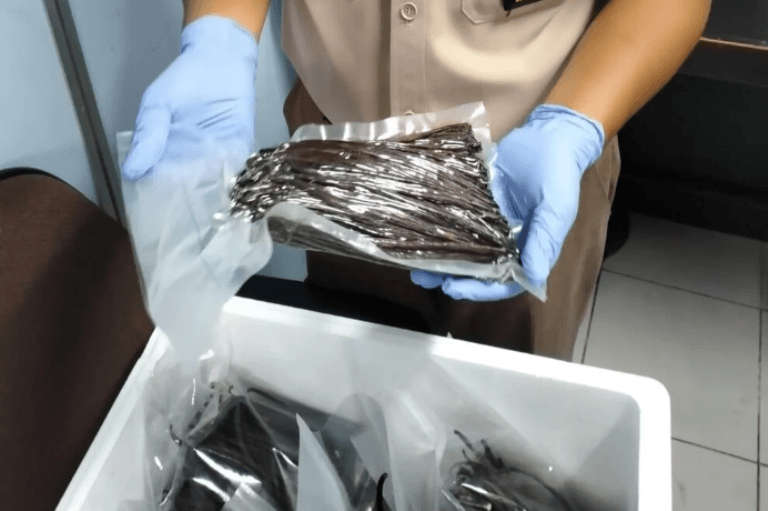 Pertama kali, Vanili Kering Asal Sumsel Sebanyak 10 Kiligram Siap Diekspor ke Perancis