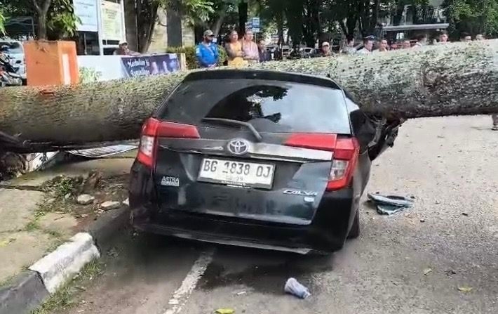Detik-Detik Pohon Raksasa Ambruk di IT I Palembang, Fortuner hingga Calya Rusak Parah