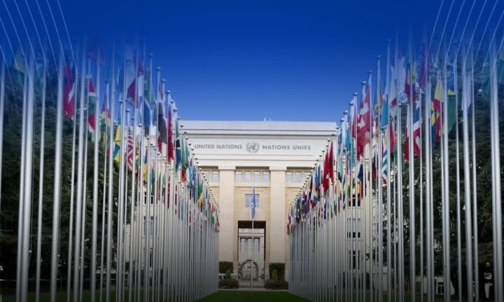 Indonesia Resmi Jadi Presiden Dewan HAM PBB 2026, Apa Saja Tugas dan Wewenangnya?