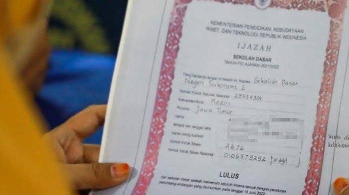 Tahun 2025, Penduduk Sumsel Tanpa Ijazah Capai 11,67 Persen