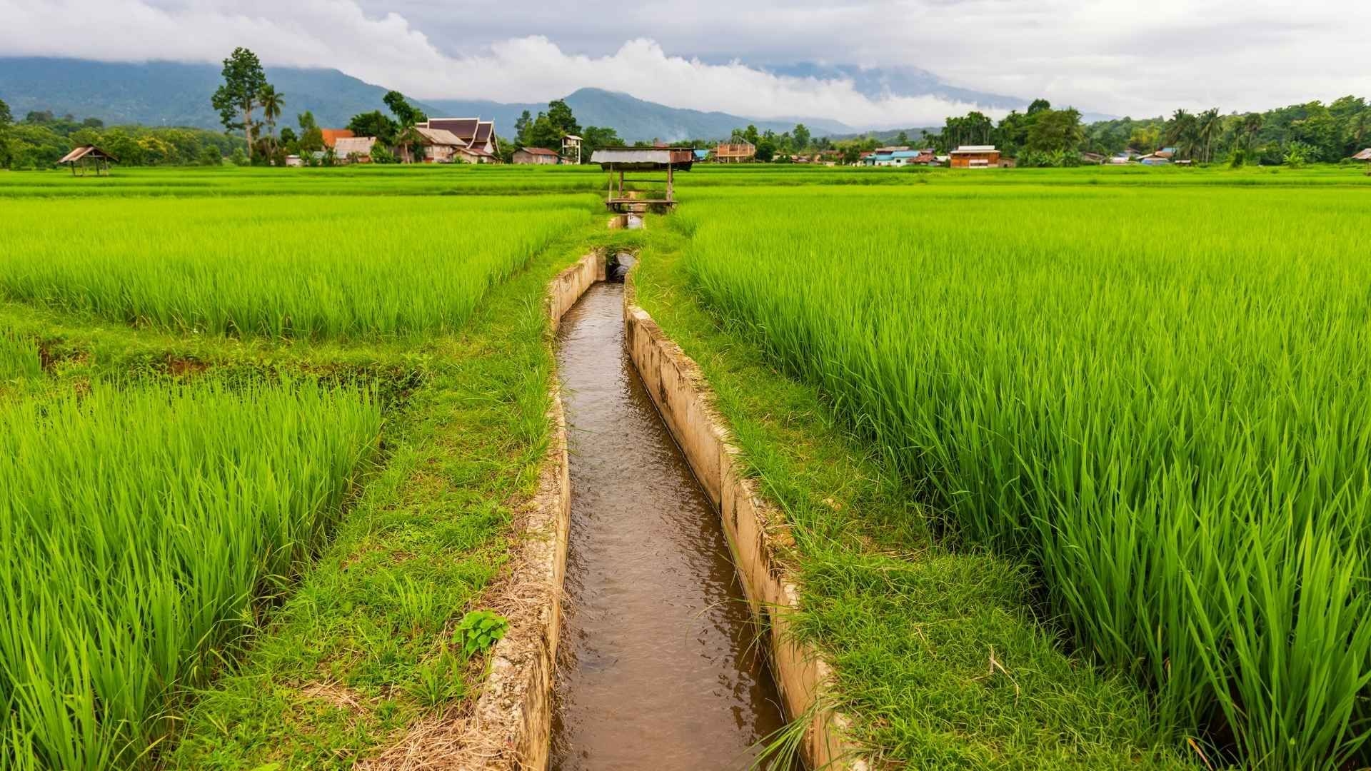 Dukung Swasembada Pangan, Pemprov Sumsel Instruksikan Daerah Petakan Potensi Sumber Daya Air