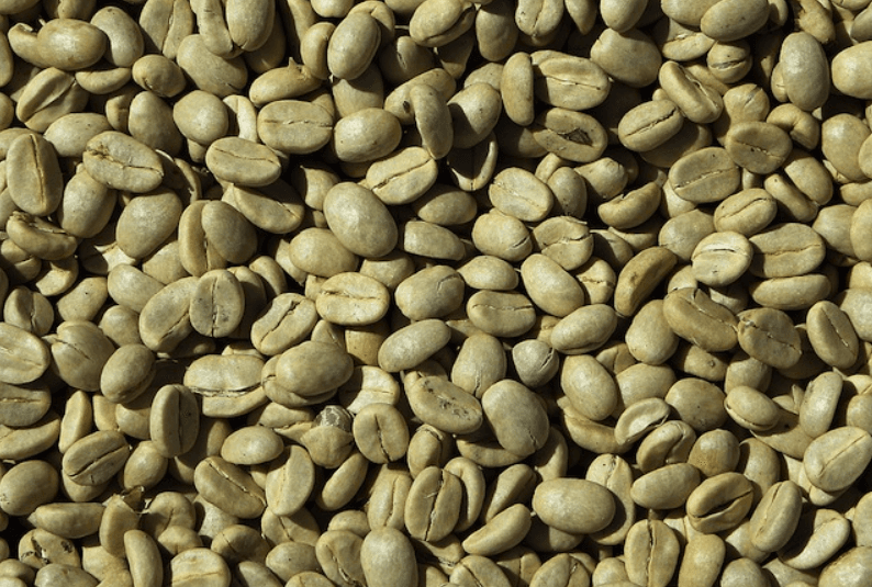 Sumsel Miliki Lahan Kopi Terluas di Indonesia, Produksi Capai Ratusan Ribu Ton Per Tahun