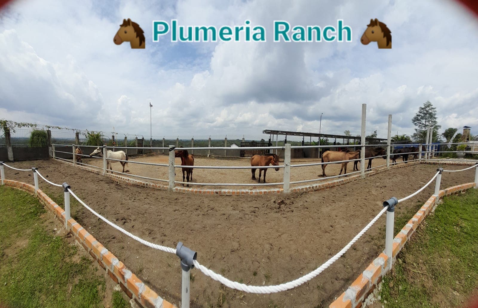 Plumeria Ecopark, Wisata Keluarga dengan Fasilitas dan Wahana Lengkap untuk Semua Kalangan Usia