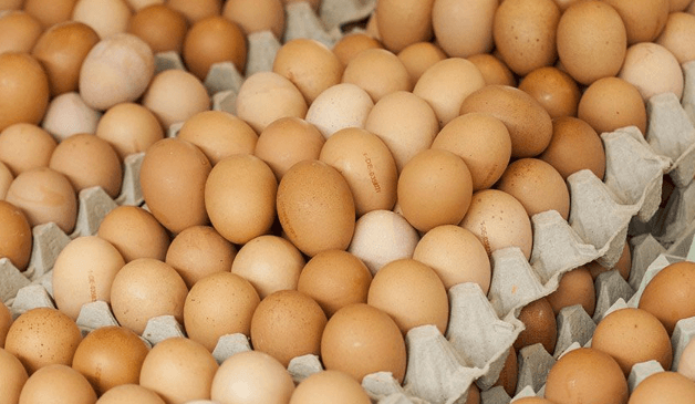 Efek Jabodetabek, Telur Ayam di Palembang Naik Rp3.000 dalam Sepekan