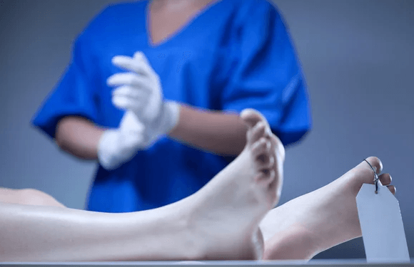 BP3MI Sumsel Tangani Kepulangan Jenazah Warga Palembang dari Kamboja