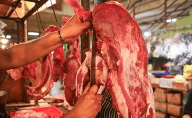 Produksi Daging Sapi Potong Sumsel 2025 Tembus 13,1 Juta Kg, OKU Selatan dan Musi Rawas Tertinggi