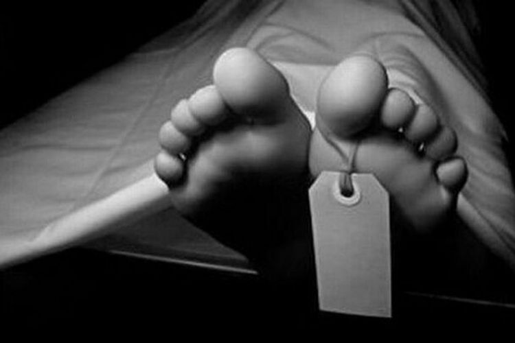 Heboh! Jasad Anak Laki-laki Ditemukan di Kebun Terpencil OKI, Polisi Lakukan Penyelidikan