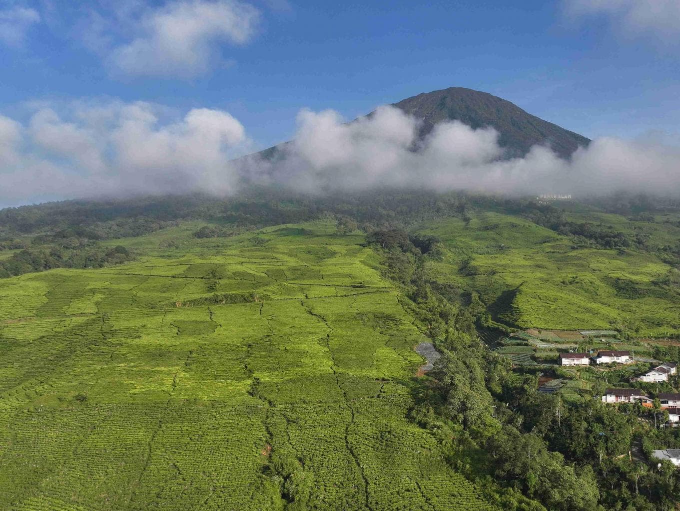 Jalur Pendakian Gunung Dempo Pagaralam Segera Dibuka, Ditargetkan Terealisasi Sebelum Akhir Mei