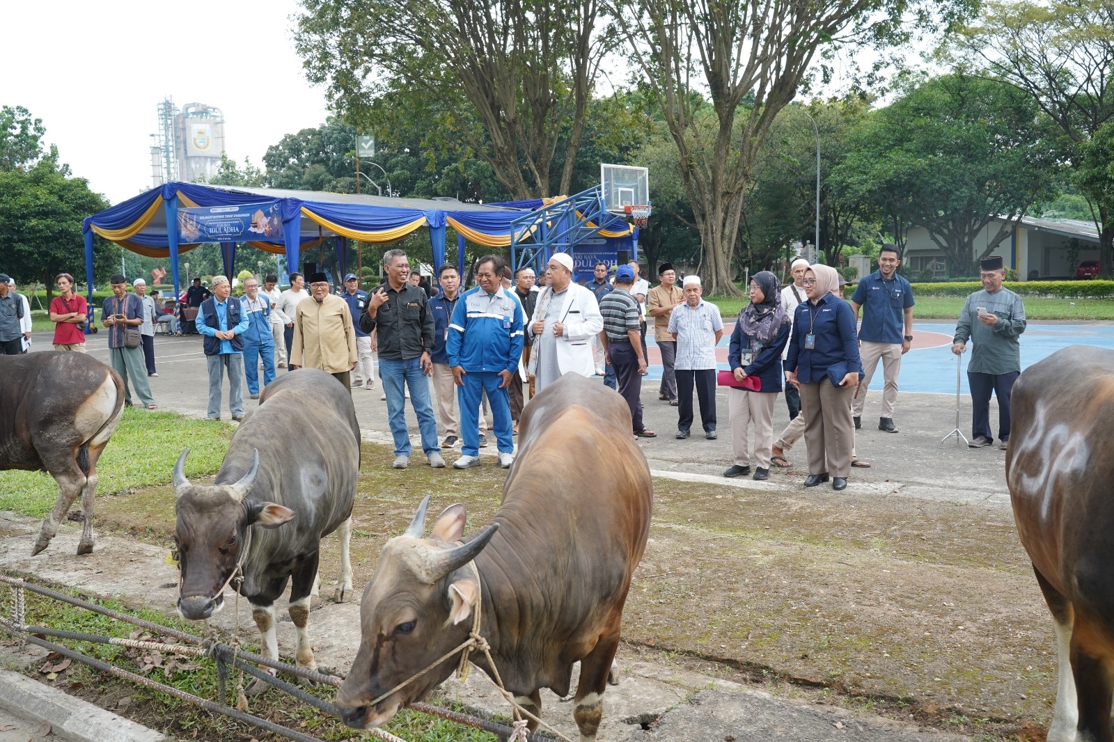 Idul Adha 1447 H, Pusri Palembang Kembali Bagikan Hewan Kurban untuk Masyarakat
