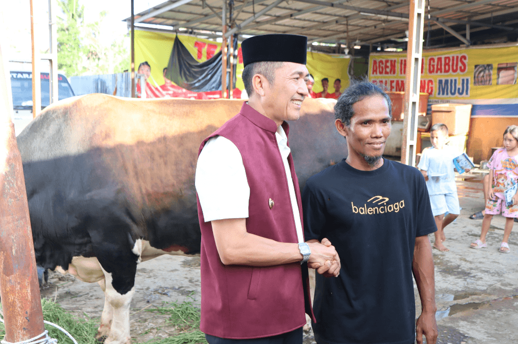 Ratu Dewa Serahkan Sapi Kurban Presiden Berbobot 1 Ton untuk Warga Palembang