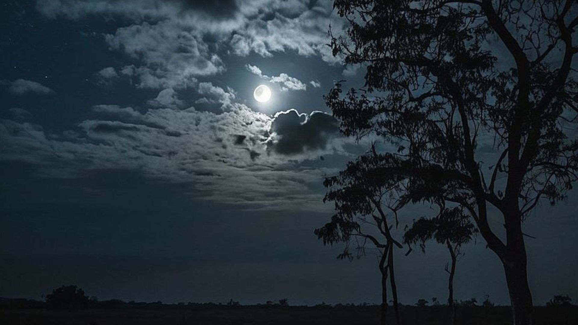 Kualitas Udara Palembang Malam Ini Tidak Sehat, AQI Capai 157