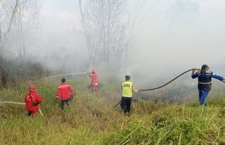 Hotspot di Sumsel Melonjak Jadi 57 Titik, Empat Daerah Masuk Zona Merah Karhutla
