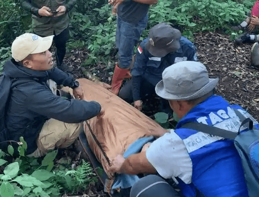 Ikuti Suara yang Dikira Teman, Pendaki Gunung Dempo Tersesat hingga Dievakuasi Tim BRIGADE