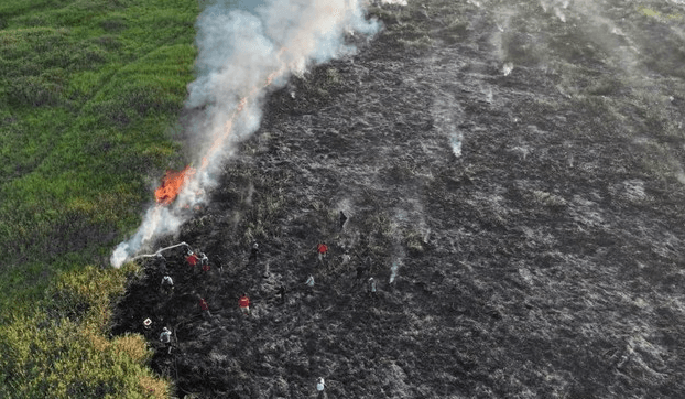121 Hotspot Terpantau, DLHP Sumsel Sebut Kualitas Udara Mulai Menurun