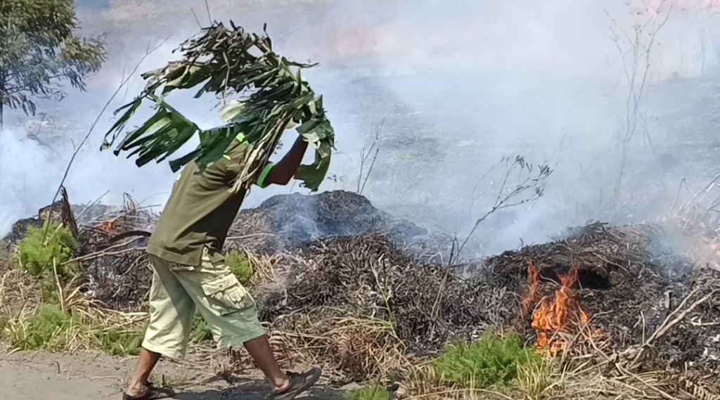 Karhutla Makin Meluas, 11 Kabupaten/Kota Sumsel Kini Berstatus Zona Merah