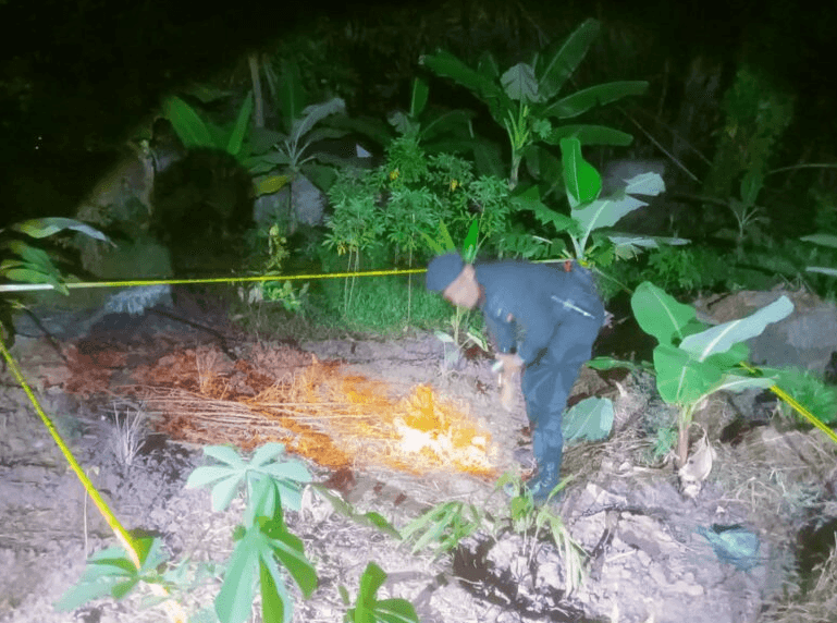 Bersihkan Lahan, Pensiunan di Palembang Dikejutkan Temuan Benda Mirip Granat Berkarat