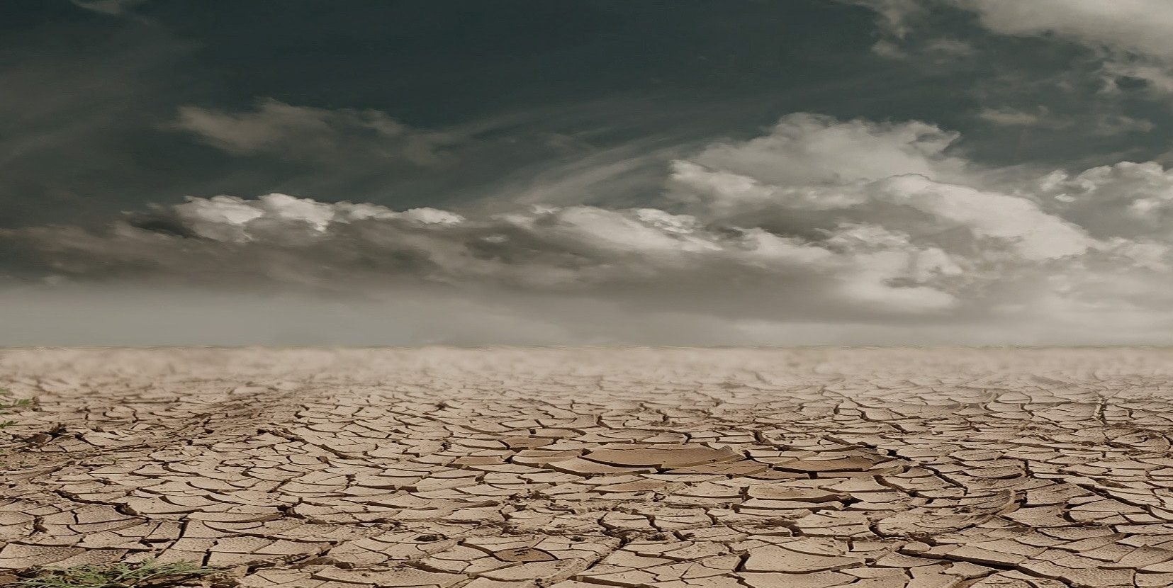 Kemarau 2026 Datang Lebih Cepat, Sumsel Siaga Dini Cegah Karhutla dan Kekeringan