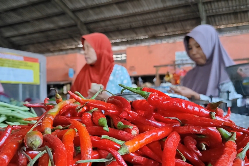 Harga Cabai Melonjak Tajam, Tekan Pengeluaran Warga Sumsel di Tengah Stabilnya Bahan Pokok Lain