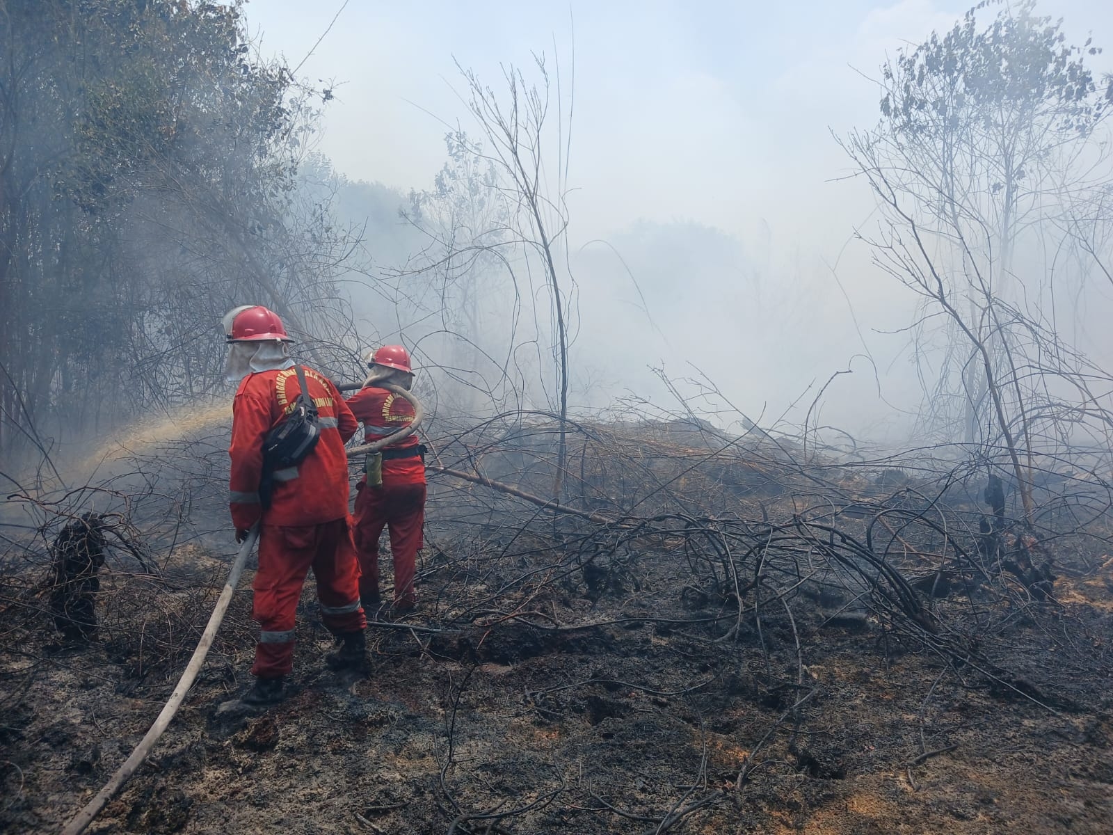 Karhutla di OKI, Dua Helikopter Waterboming dan Ekskavator Dikerahkan Untuk Pemadaman Api