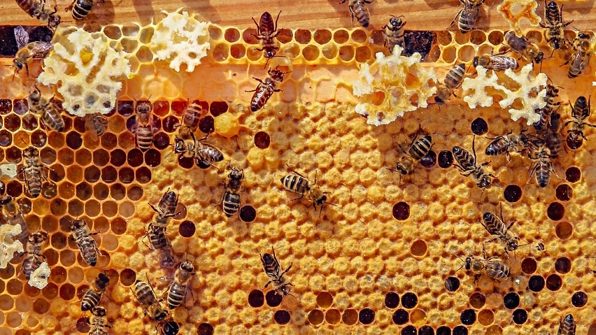 5 Skincare Alami yang Aman untuk Ibu Hamil, Tetap Glowing tanpa Cemas