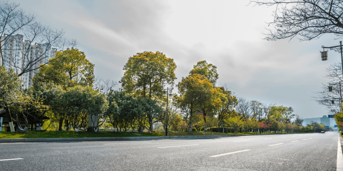 5 Negara Ini Menggunakan Nama Pahlawan Indonesia Sebagai Nama Jalan, Salah Satunya Untuk Mengenang RA Kartini