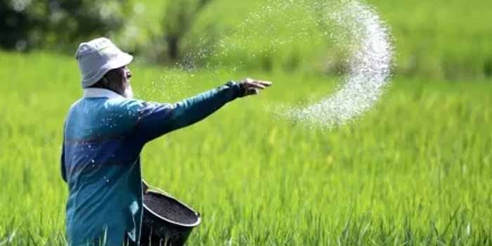 Setelah Sempat Tertekan, NTP 2025 Kembali Naik Jelang Akhir Tahun