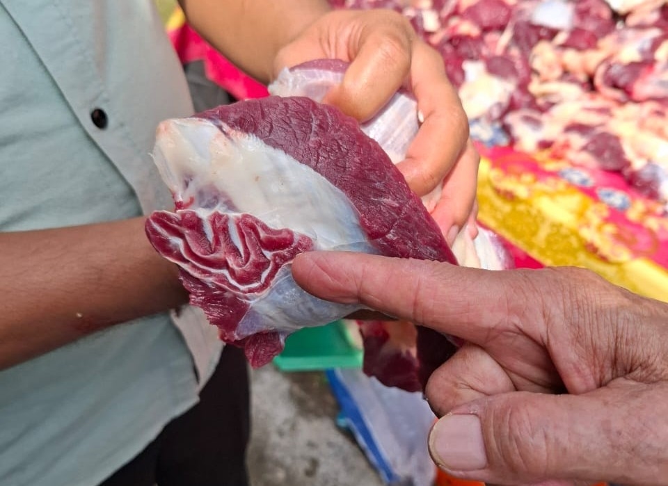 Jelang Idul Adha 2025, Ini Aturan Pembagian Daging Kurban Sesuai Syariat Islam