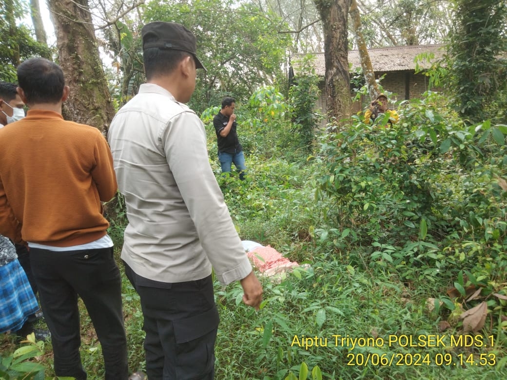 Sosok Jenazah Perempuan di Kebun Karet Ternyata Siswi SMK OKU Timur, Begini Kata Polisi