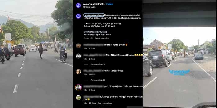 Viral, Seekor Kuda Lepas di Jalan Raya Tabrak Pengendara Motor yang Melintas