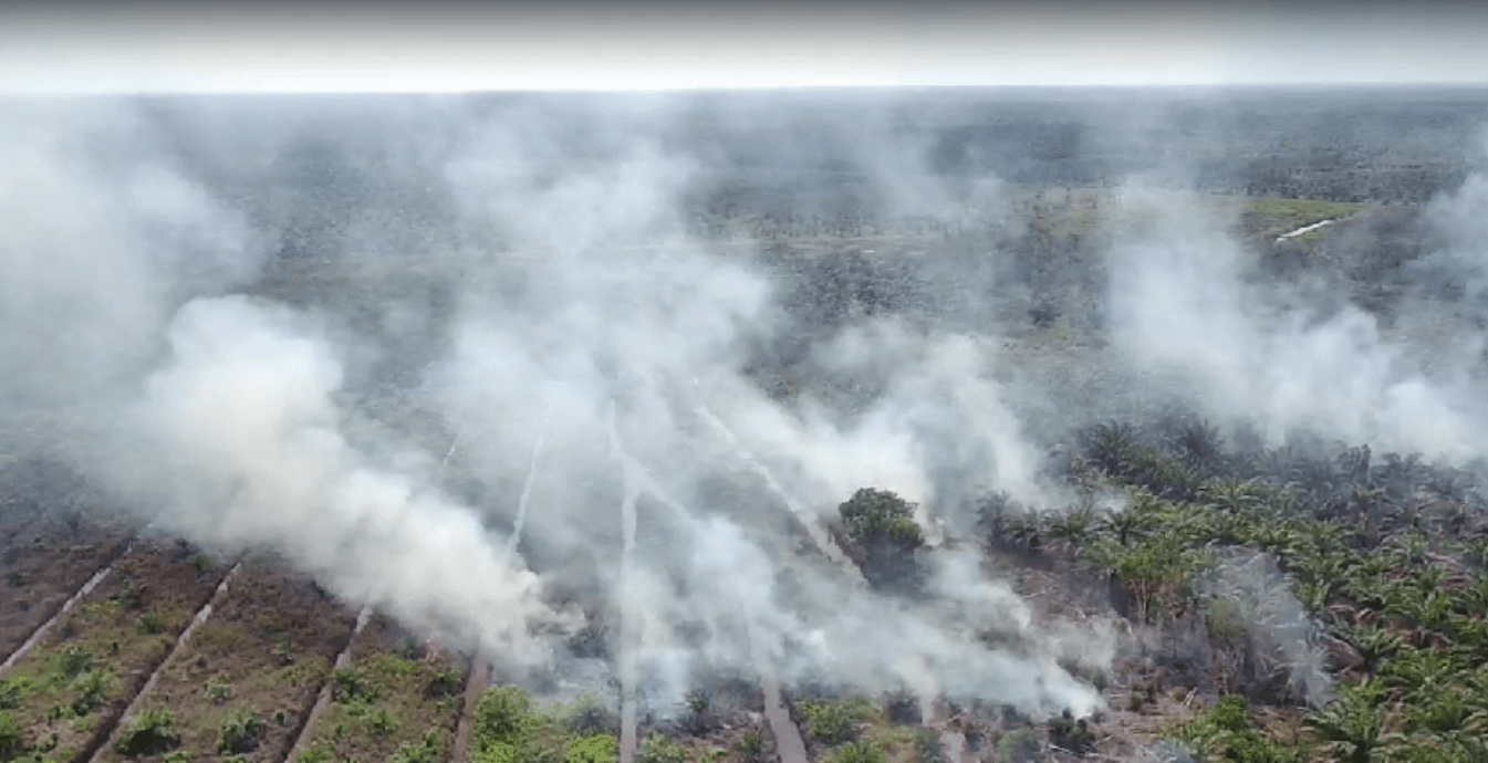 Belum Masuk Musim Kemarau, Lahan di Ogan Ilir Terbakar Mencapai 2 Hektare