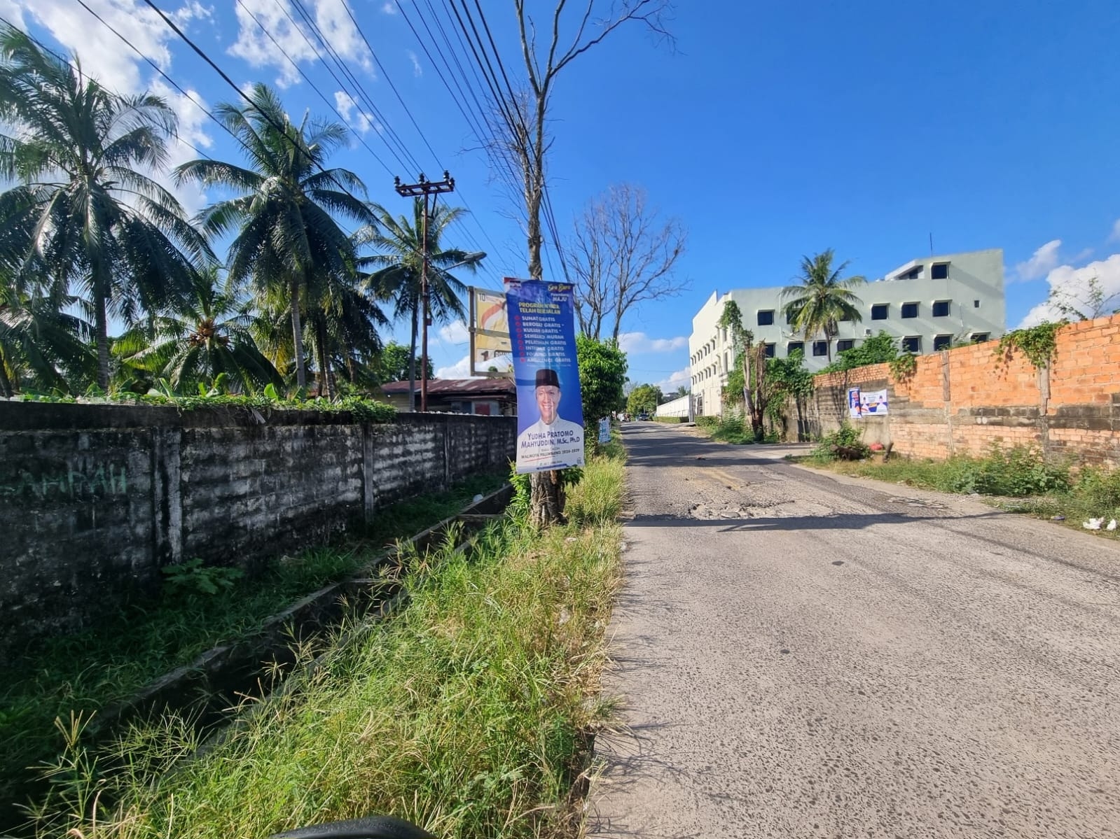 Pohon Jadi Korban Kampanye, Walhi Desak Bawaslu Sumsel Tindak Tegas