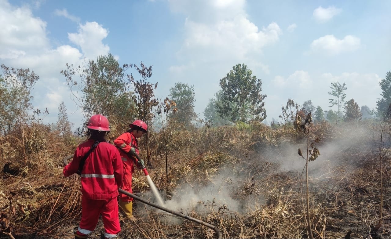 Sekat Bakar Jadi Andalan Padamkan Karhutla Muba, Progres Pembuatan Sekat Sudah 40 Persen