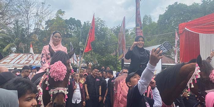 Punya Dua Mobil Mewah, Segini Harta Kekayaan Cawako Palembang Fitrianti Agustinda