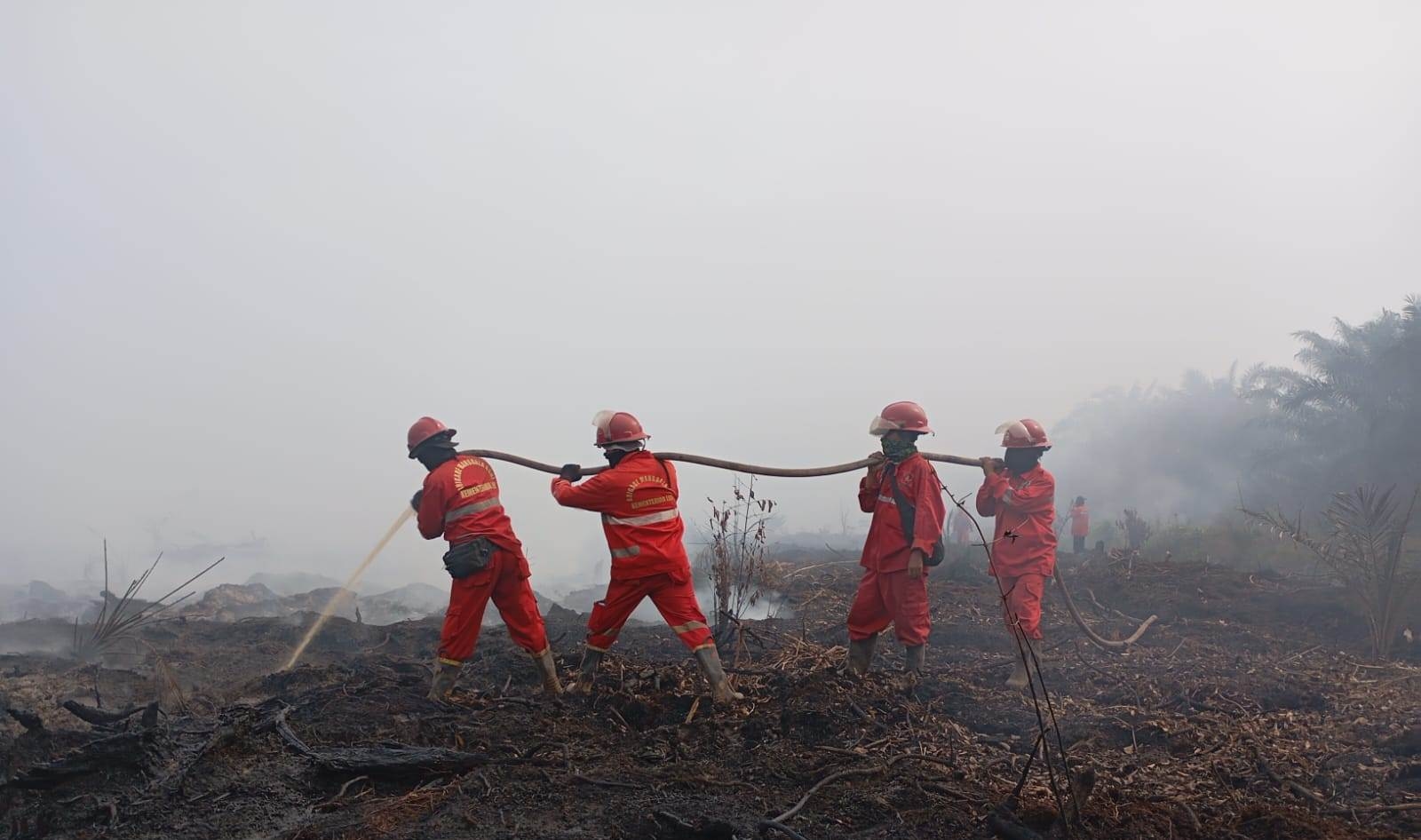 Karhutla di Banyuasin, Meski Air Sulit Dijangkau, Upaya Pemadaman Terus Dijalankan
