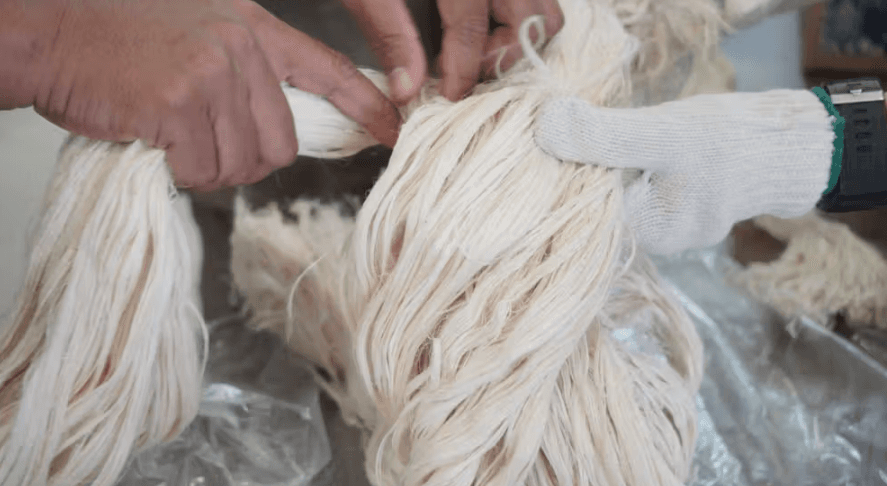 Sumsel Kirim Sampel Serat Nanas Prabumulih ke Spanyol, Langkah Awal Menuju Ekspor Global