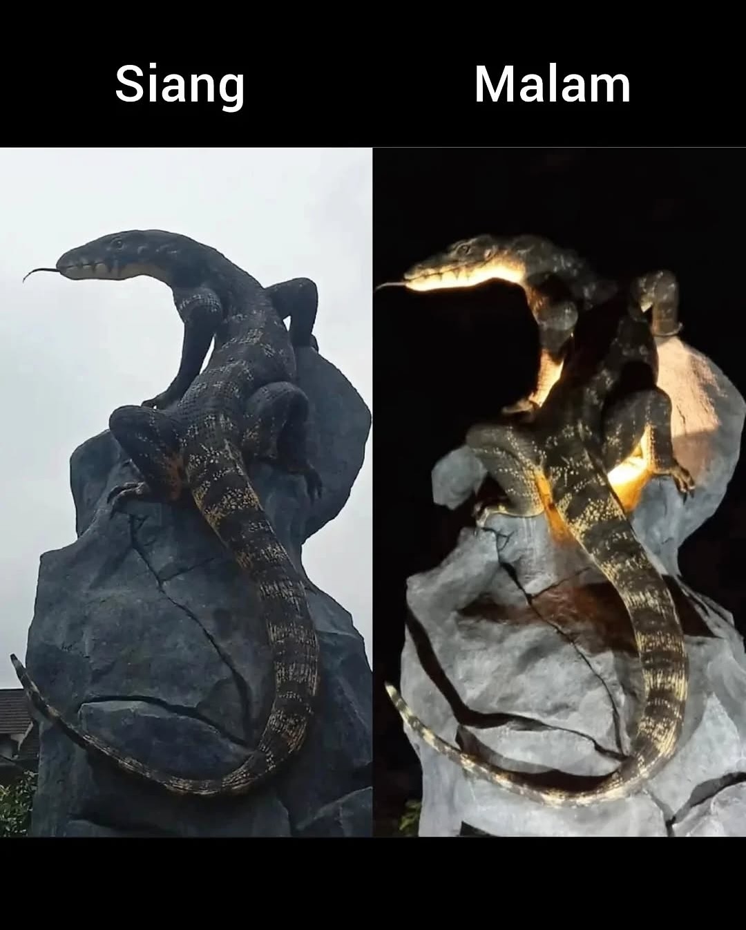 Patung Biawak Viral di Wonosobo, Jawa Tengah Kini Dilindungi Hak Cipta