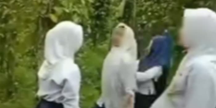 Viral! Video Siswi SMP Berkelahi di Palembang, Disdik Siapkan Tim Investigasi